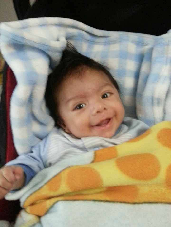bb moxo