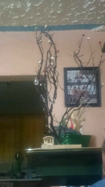 Llegaron los "madroños" - 4