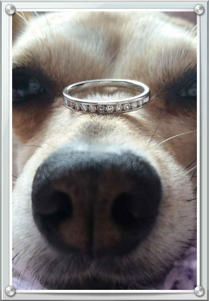 Chicas presúmanme su anillo!!  - 1