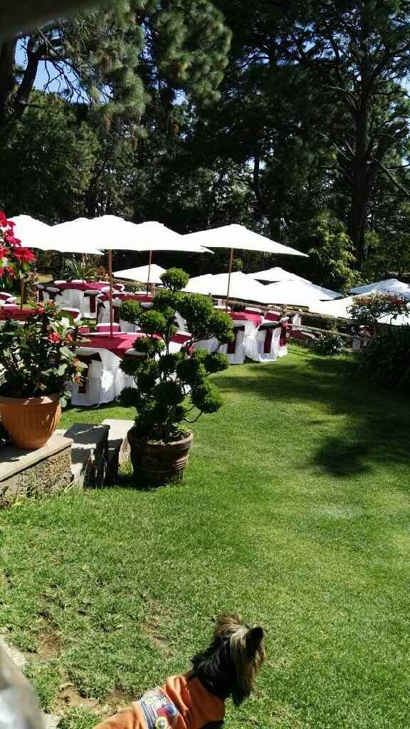  Felizmente casados!!!! Z😍😍 - 7