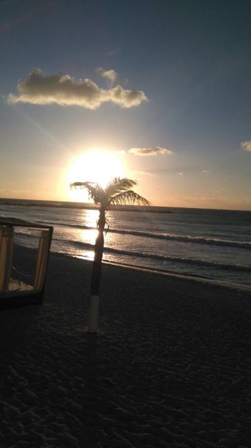 Mi locación en la playa - 6