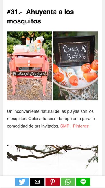 Ideas boda playa parte 2 - 14