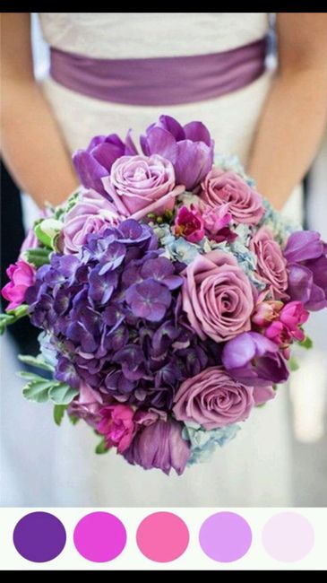 Que color elegir??? - 1