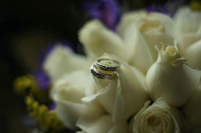 Fotos de anillos! - 1