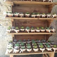 Que piensan de no dar recuerdos de boda - 1