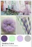 MENTA Y PURPURA