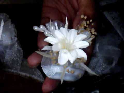 Saleros - 2
