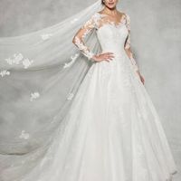 Si tu Fm tuviera que elegir tu vestido de boda.. - 1