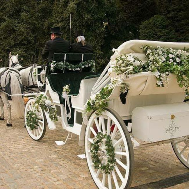 Vero reta a los novios de la comu a decir un gasto culposo..🤭🧐 3