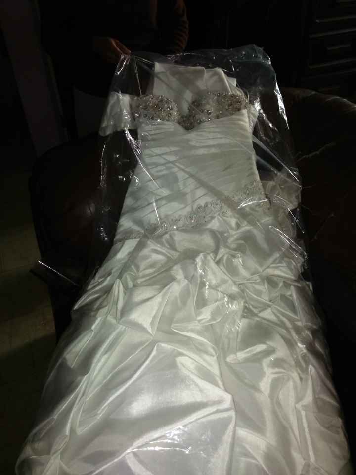 Ya tengo vestido de novia, velo y tiara - 1