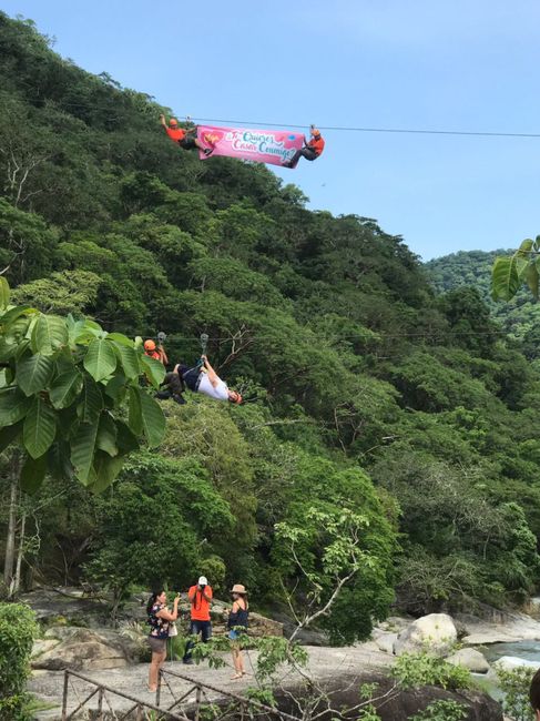 Le pediré que se case conmigo ya tengo el anillo. - 1