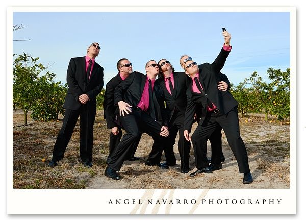 fotos damos