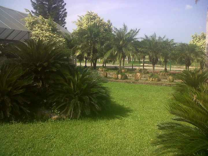 Aqui me casare!