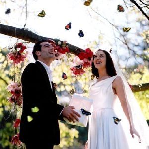 mariposas2