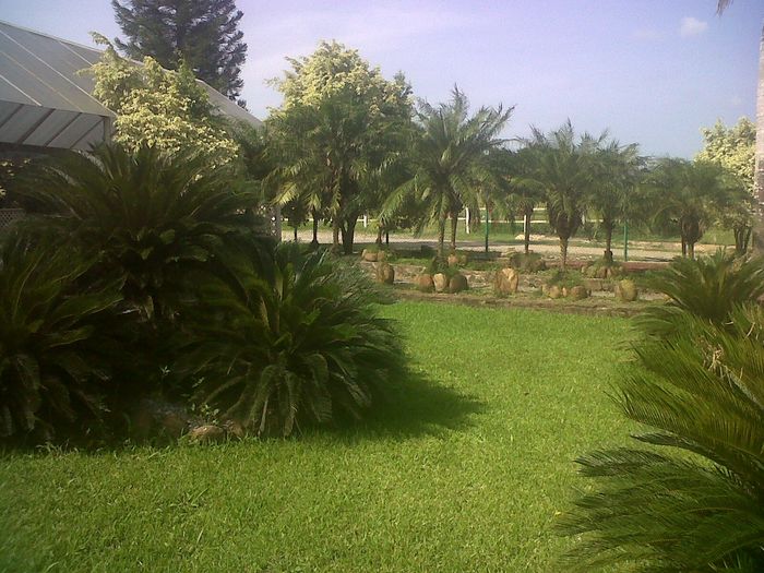 Aqui me casare!
