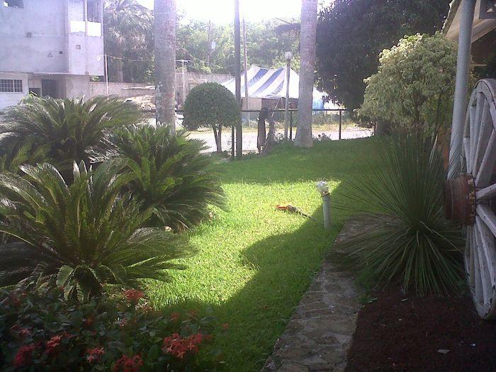 Aqui me casare!