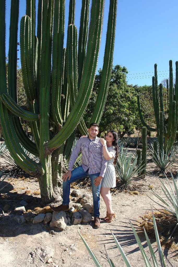 Sesión de fotos Tequila Jalisco - 5