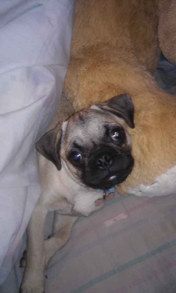 El mejor regalo, aparte de mi anillo obvio! - 1