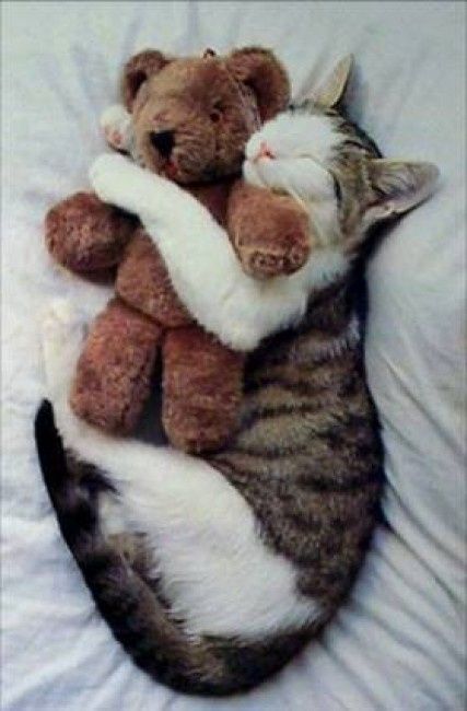 A mimir