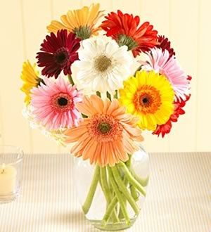 Arreglo con gerberas