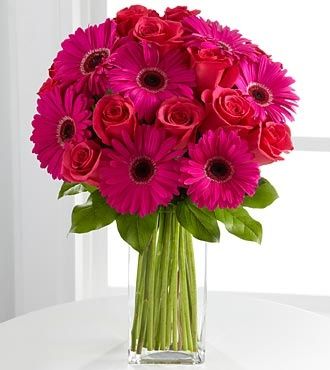 Jerberas y rosas