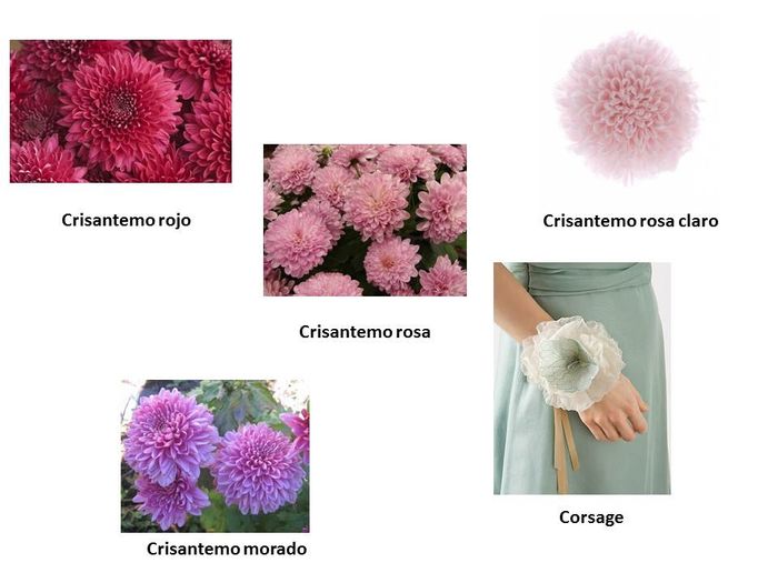 Corsages madrinas
