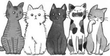 Gatitos 