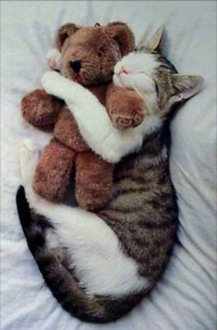 A mimir