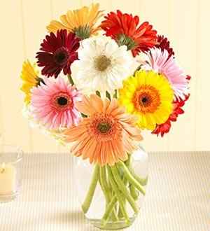 Arreglo con gerberas