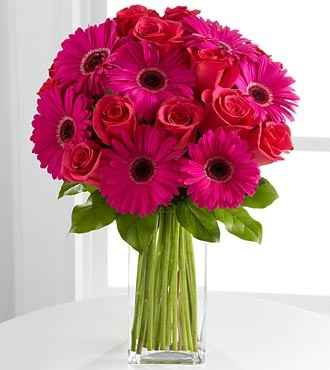 Jerberas y rosas
