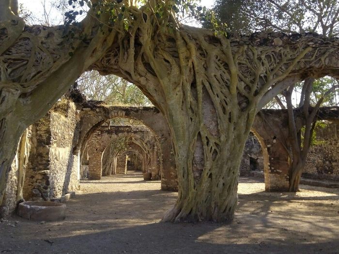 Ultimo san valentin como novios!!! - 2