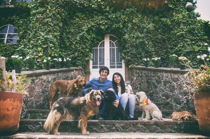 Mi pedida de mano! - 5