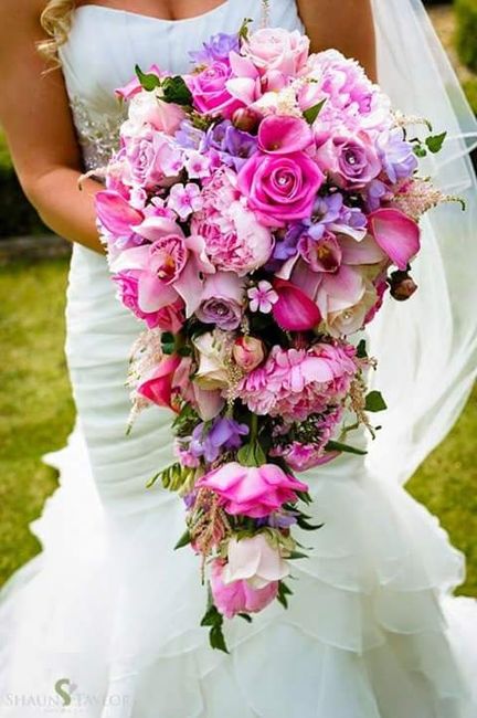 Club de la novia rosa - 5