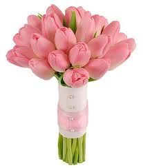:) LINDO
