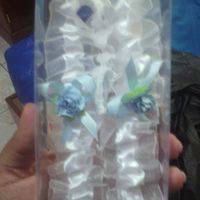 mis ligas