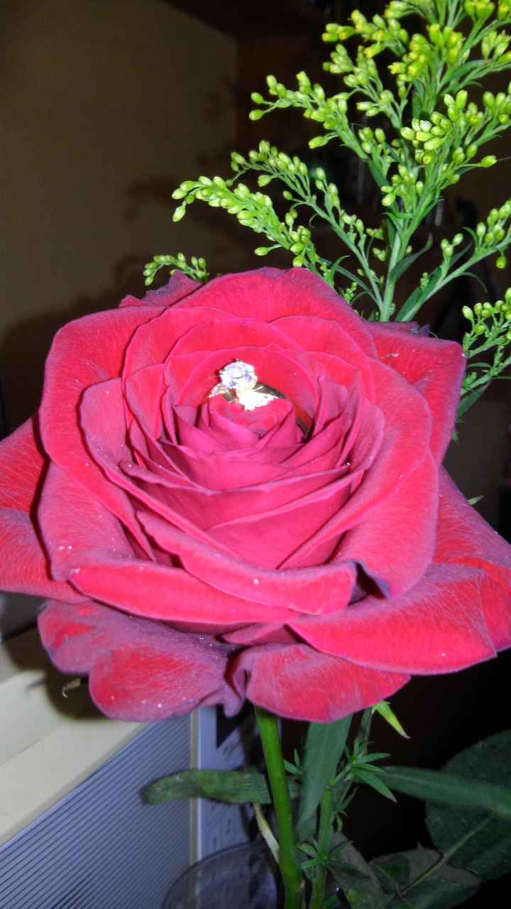 Presume tu anillo - 1