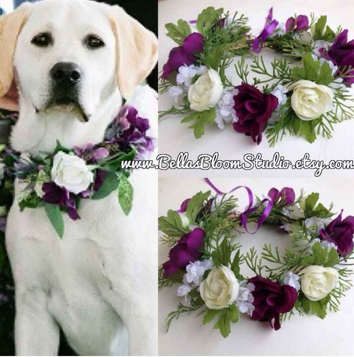 Perros de honor! xd - 2