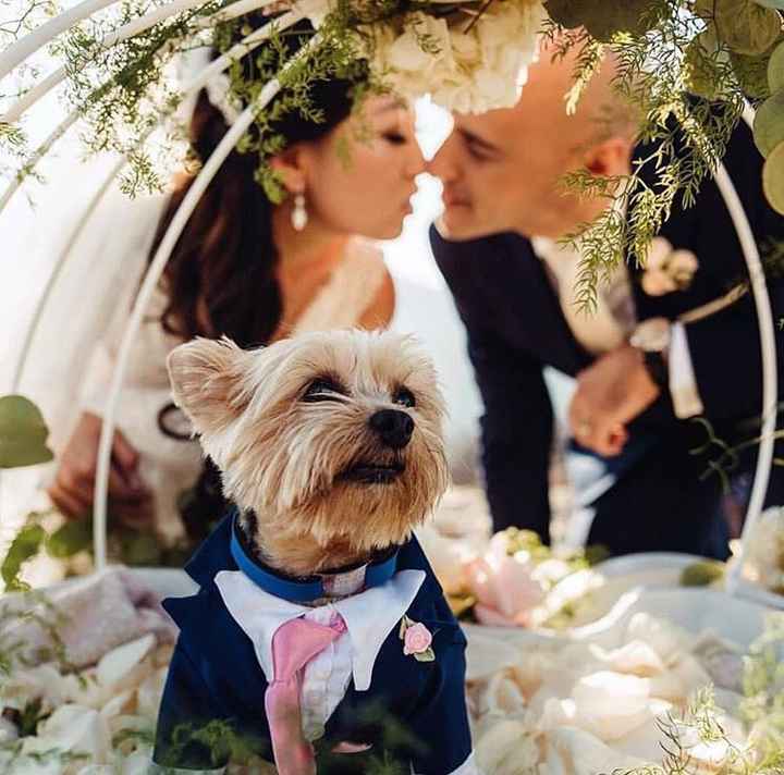 Perros de honor! xd - 8