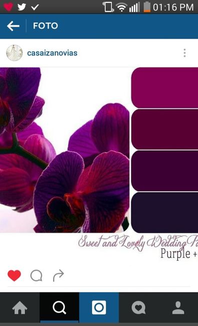 Cuál es el color de su boda? - 1