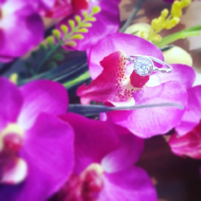 he put the ring on it 💍(y dos veces!!!) - 2