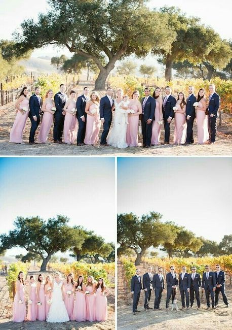 ¿qué color será el ideal para mis damas de honor? - 3