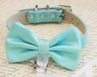  Moda animalesca, porque ellos lo merecen!! - 17