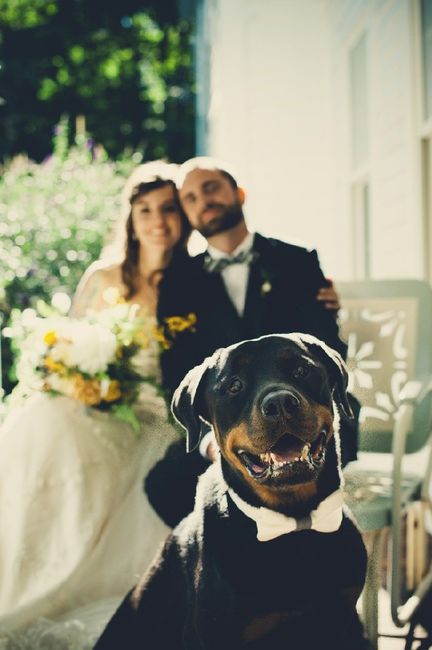  Moda animalesca, porque ellos lo merecen!! - 20