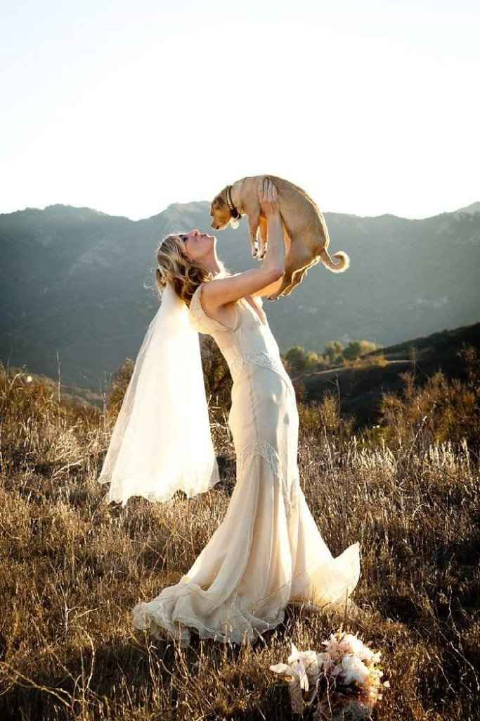  Amor perruno en el gran día!! - 2