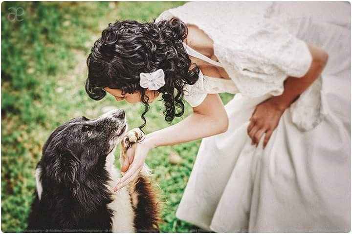  Amor perruno en el gran día!! - 16