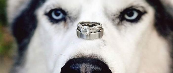  Amor perruno en el gran día!! - 10