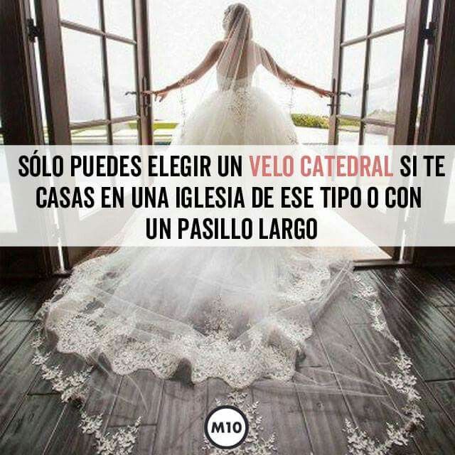 Reglas del velo👰 - 6
