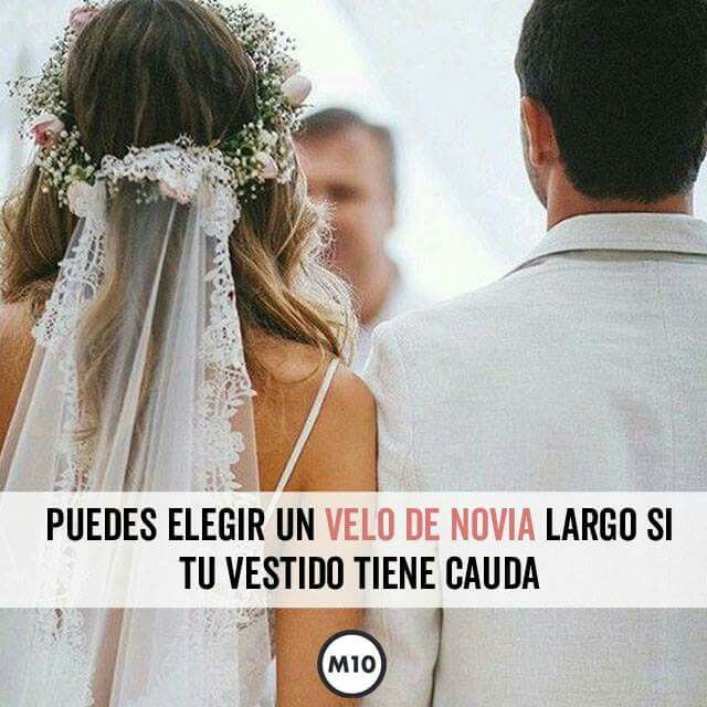 Reglas del velo👰 - 7