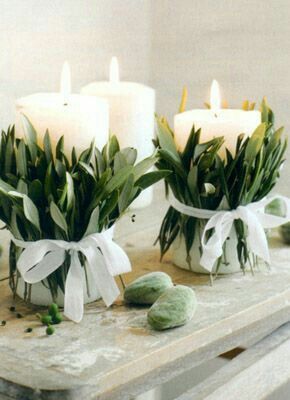 Boda verde Olivo 🍃🌿 - 14