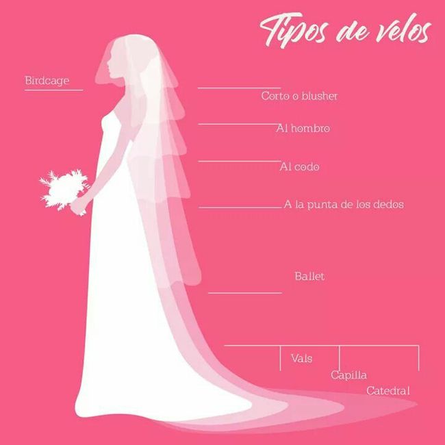 Tipos de velo